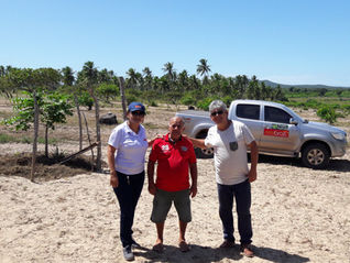 Audit of Inclusion of New Areas and Organic Producers