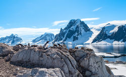 Petermann Island