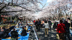 Ueno Park