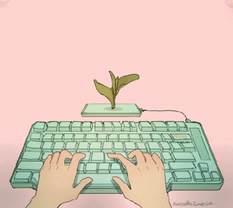header.gif