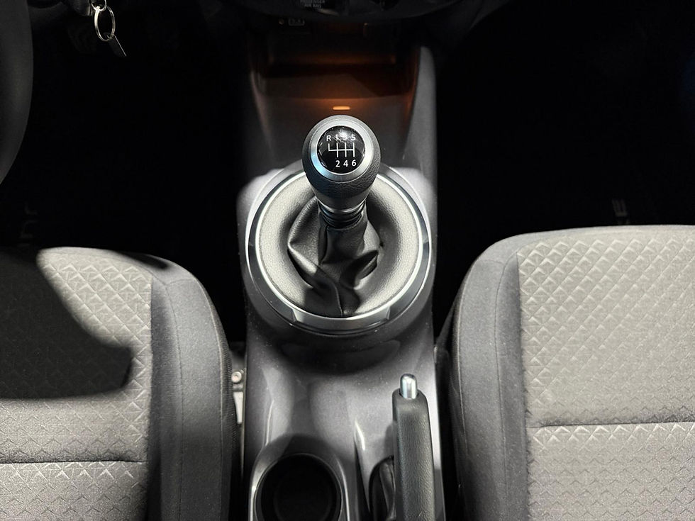 Miniatura: NISSAN JUKE