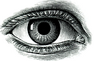 eyes.png