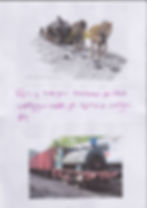 Scan 24