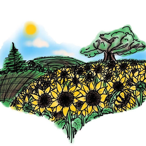 Closer up of Love Sunflowers