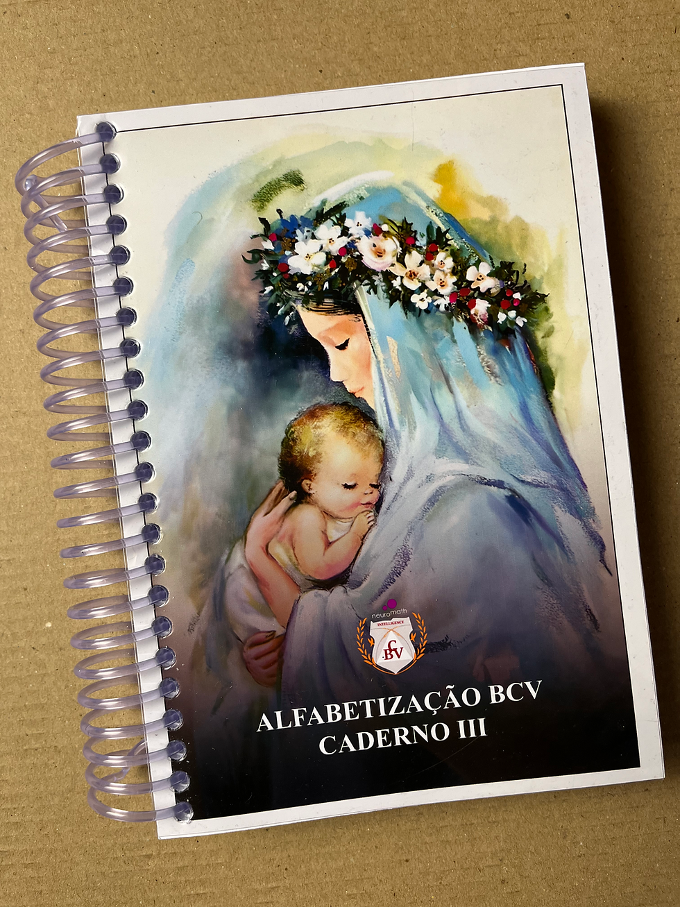 Miniatura: 7 Cadernos (A4 - Capa Comum) - Coleção completa de Alfabetização BCV