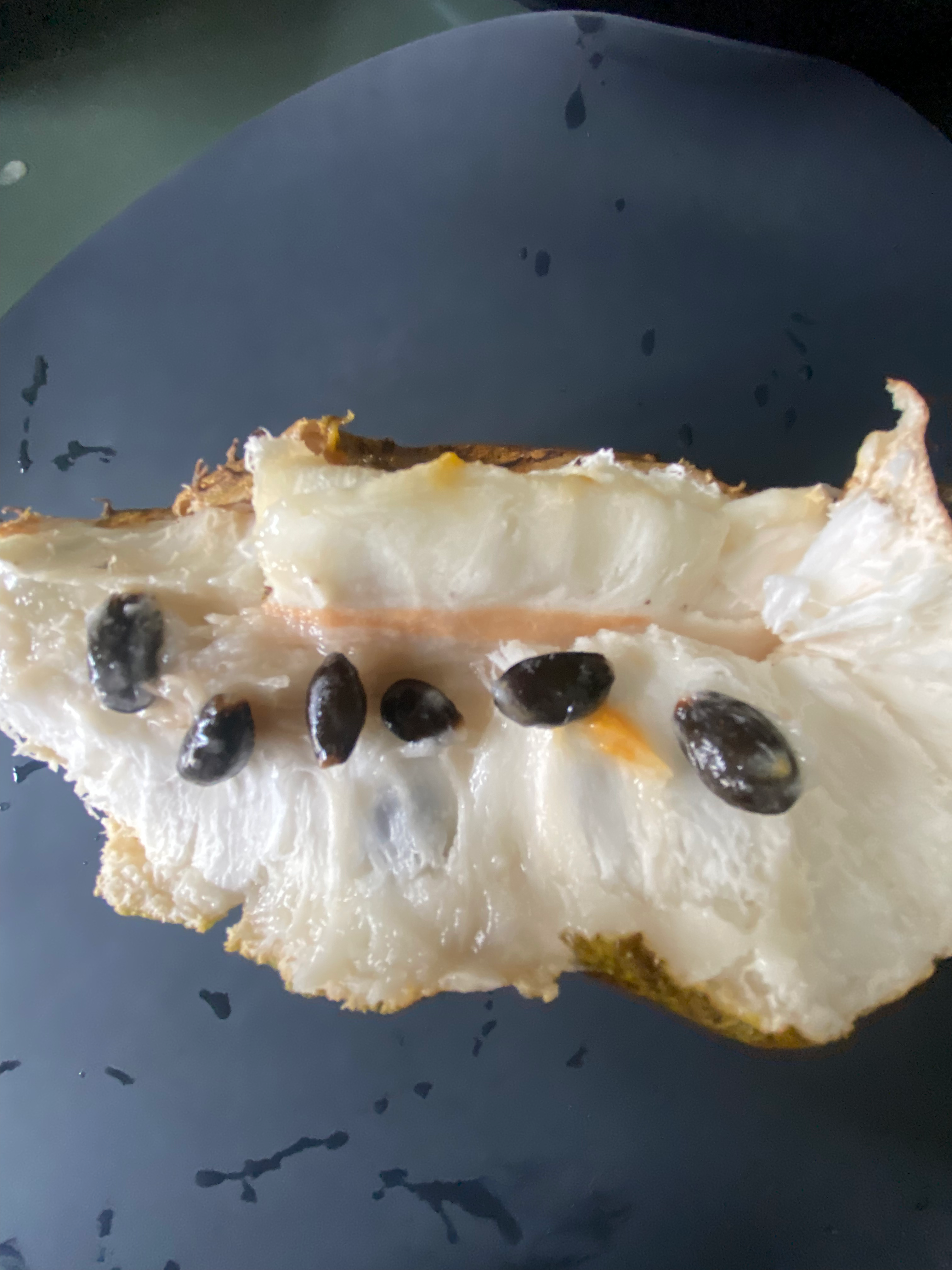 Corassol/Soursop seeds 12cnt