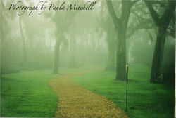 pathway 2 bok tower.jpg