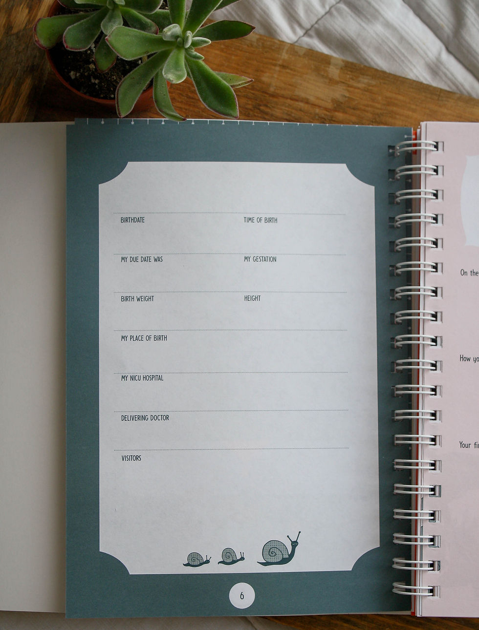Thumbnail: My Preemie Baby Book