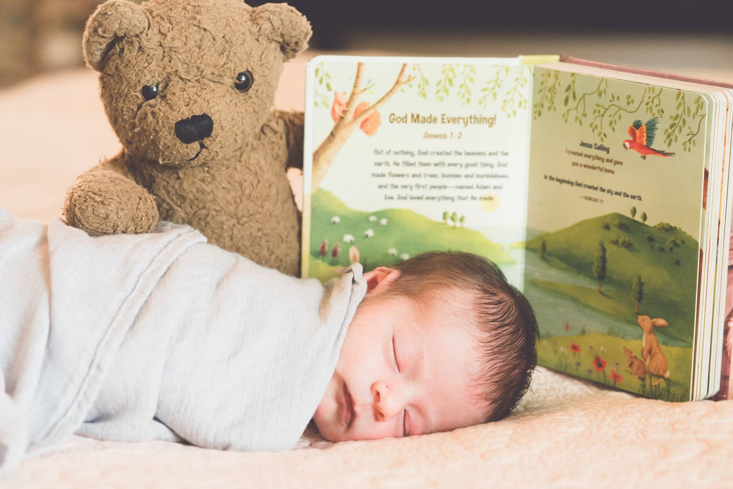 24799255_1503992739636197_2031875631546914107_o