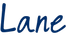 SLE Banner - Lane word