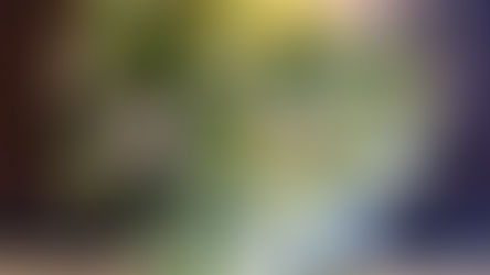 2024年　あけましておめでとうございます♪