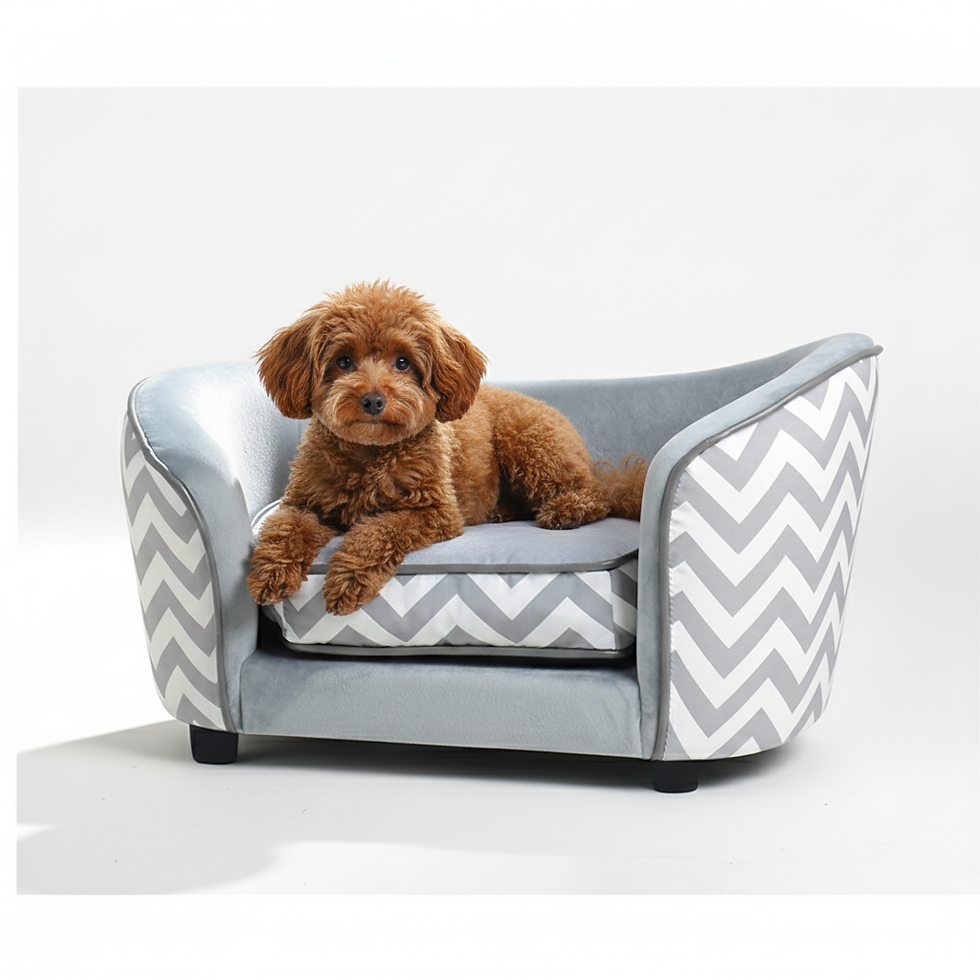 ספה מעוצבת לכלבים