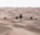 LANDSCAPES