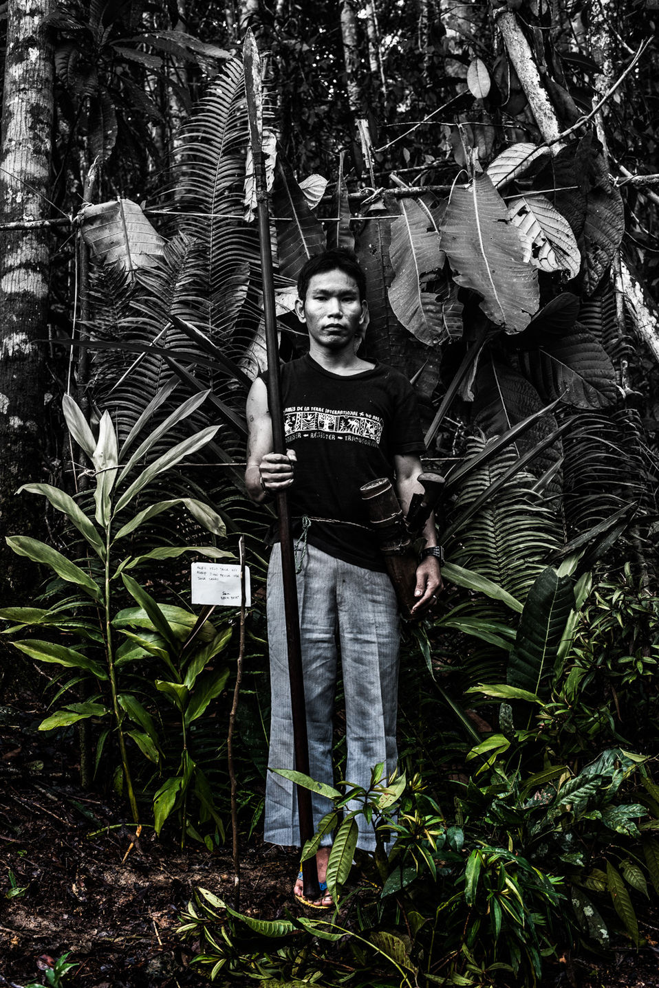 _D811301.jpg