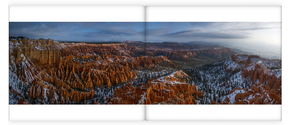 Miniature : LANDSCAPES