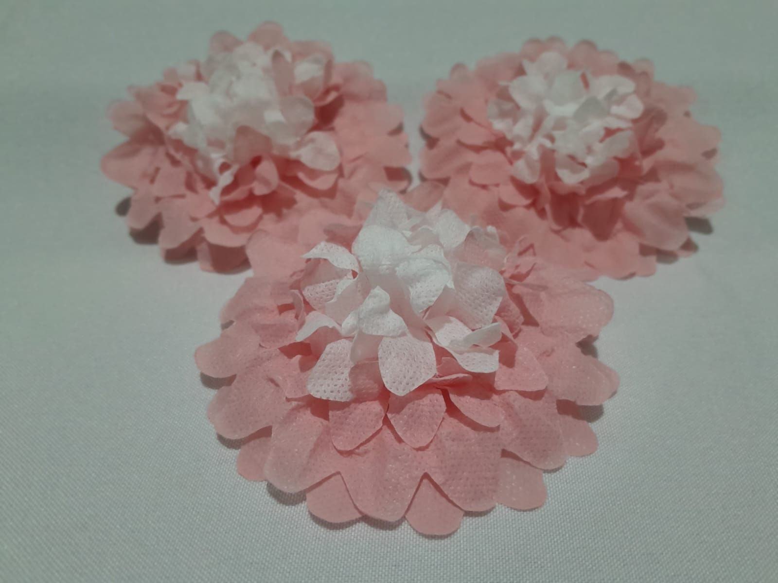 Crisântemo Rosa com Branco