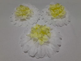 WhatsApp Image 2024-05-16 at 21.17.19.jpeg