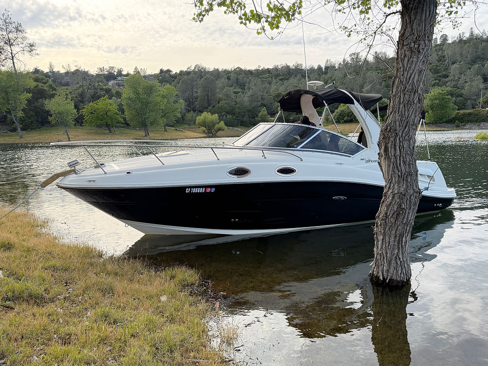 Thumbnail: 2008 Sea Ray Sundancer 260