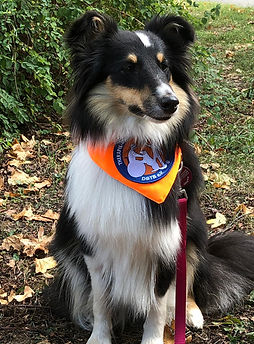 Rosalie 2019-11-23.jpeg