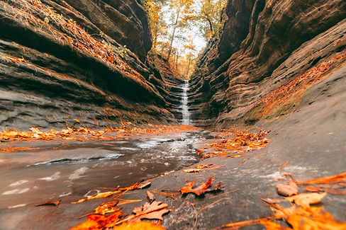 srsp-fall-2021--3.jpg