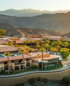 AUC 2026 Options-01 (1)_edited.jpg