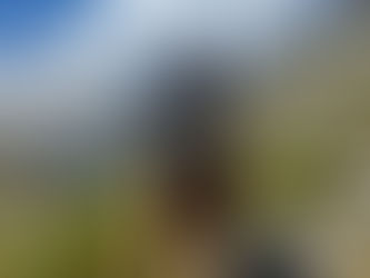 The Ultimate Hiking Backpack Buying Guide: Best Picks and Expert Tips