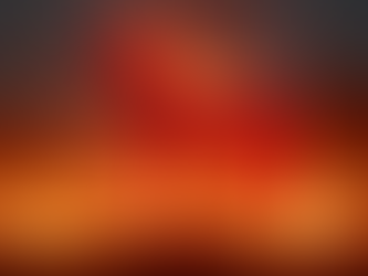 Shamanic Insights for 2026: Embracing the Fire Horse Energy and Walking the Walk