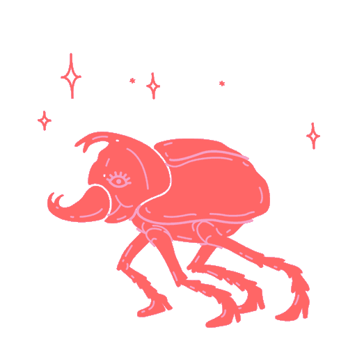 DANCING-BEETLE.gif