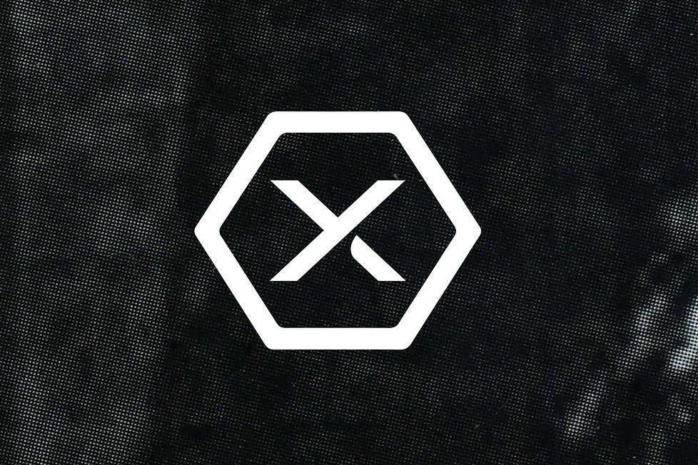 xdmg trims1.jpg