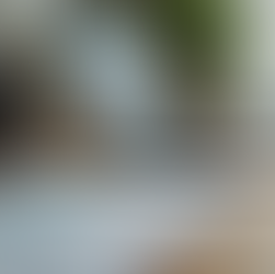 Expert IT Support for Small Businesses and Artists