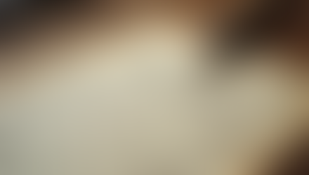 Five Star Review for The Reclusive Life of Rita Reilly by Robert E. Kearns