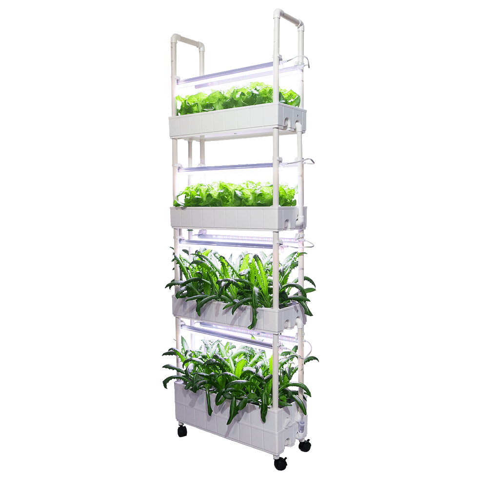 Thumbnail: 4T48 V.2 Hydroponics System