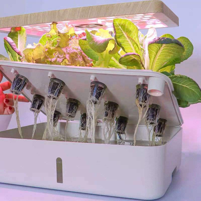 Thumbnail: Table Garden