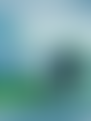 Inside the Stack: Newtrace's Playbook to Scale Green Hydrogen One Electrode at a Time