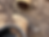 20250518_223548383_iOS.heic