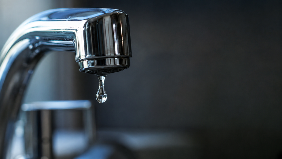 How to Fix a Dripping Tap (And What It's Really Costing You)