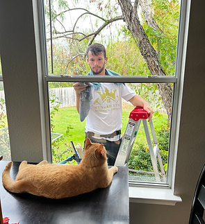 Window Cleaning.jpg