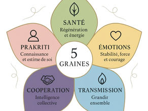 “5 Graines pour la Vie” : un parcours inédit qui relie Yoga, Ayurvéda et Responsabilité Universelle
