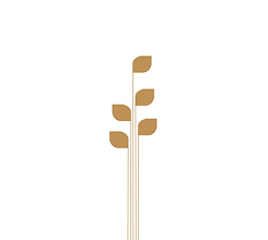 blume.png