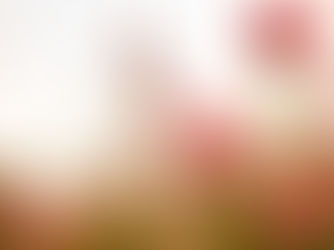 Conseil ayurvédique pour octobre 2024