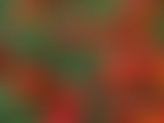 Conseil ayurvédique pour novembre