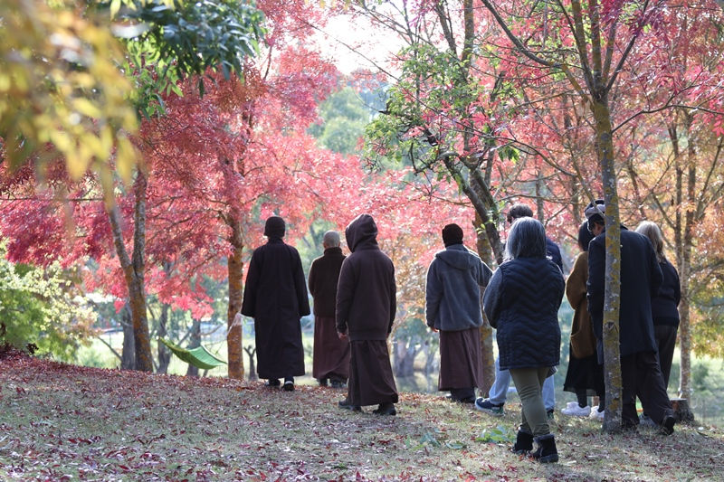 Day of Mindfulness - 3rd Thursday Monthly