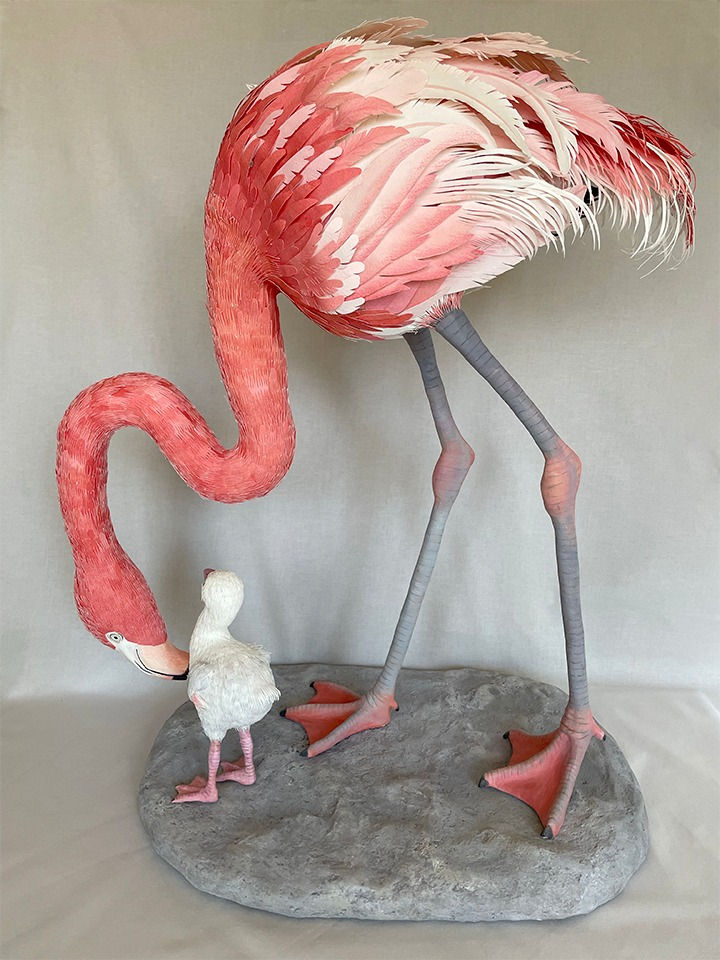 Flamingo and Chick