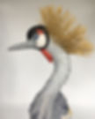 Crown Crested Crane