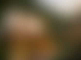 prefab garden suite backyard