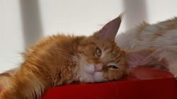 2016-01-28 15.19.22.jpg