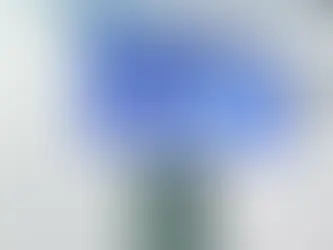 كلية السياحة والاثار ب جامعة الملك سعود