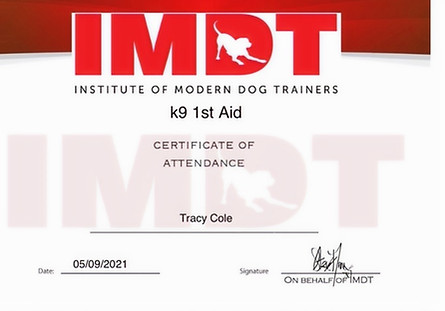 K9 1st aid_edited.jpg