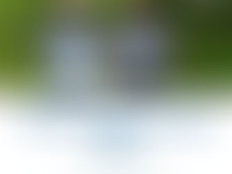 Microvolunteering Day 2026