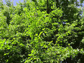 Internal Demolition Complete